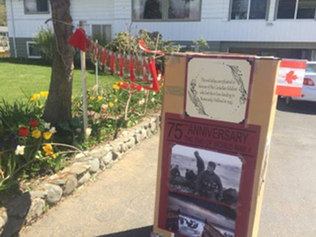 The Valley’s Gabor Szamosi, 85, currently has tulips growing all over his yard in honour of Canada’s war veterans who liberated the Netherlands during the Second World War. (Submitted photo)