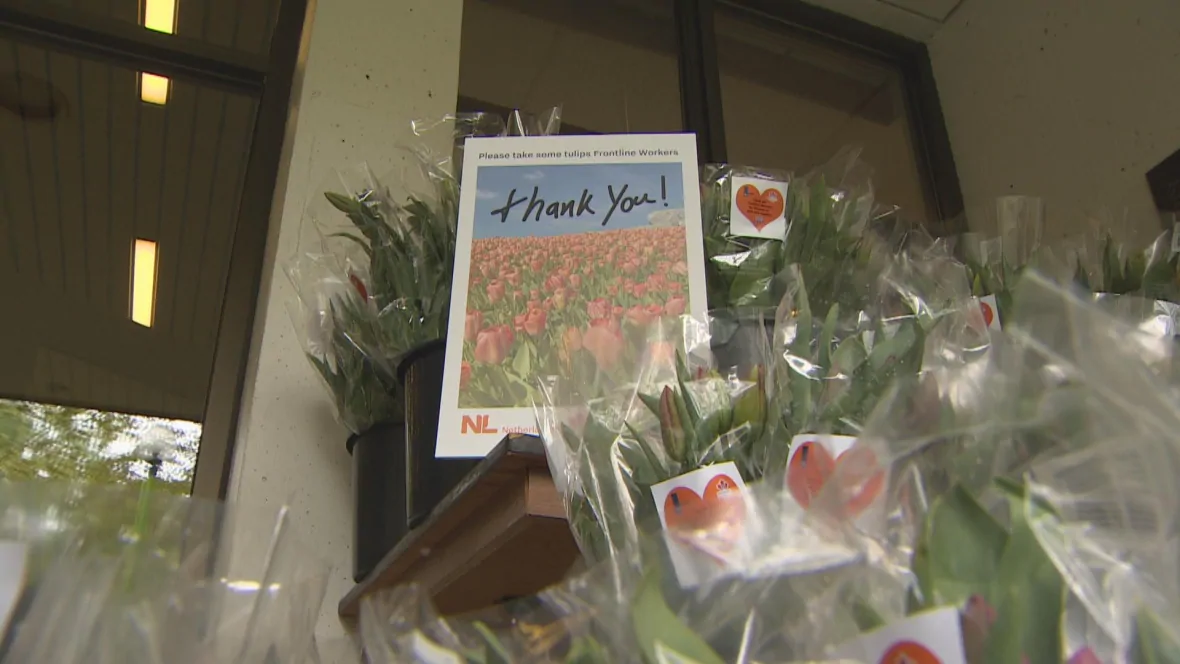 The tulips were planted last fall for commemoration ceremonies in May. (CBC)